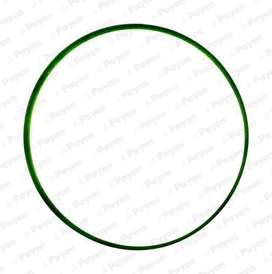 Tarpiklis, įsiurbimo kolektorius PAYEN JD6034