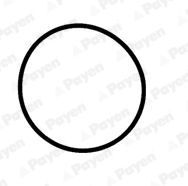 Tarpiklis, įsiurbimo kolektorius PAYEN JD6034