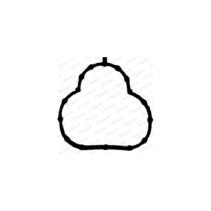 Tarpiklis, įsiurbimo kolektorius PAYEN JD6036