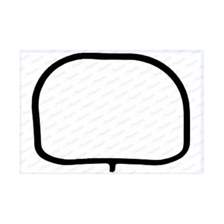 Tarpiklis, įsiurbimo kolektorius PAYEN JD6117