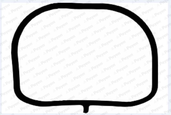 Tarpiklis, įsiurbimo kolektorius PAYEN JD6117