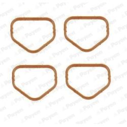 Tarpiklis, įsiurbimo kolektorius PAYEN JD6145