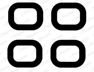 Tarpiklis, įsiurbimo kolektorius PAYEN JD6151