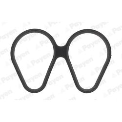 Tarpiklis, įsiurbimo kolektorius PAYEN JD6161