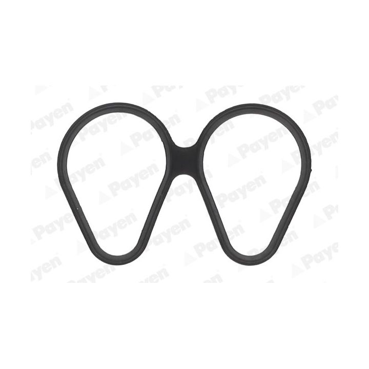 Tarpiklis, įsiurbimo kolektorius PAYEN JD6161