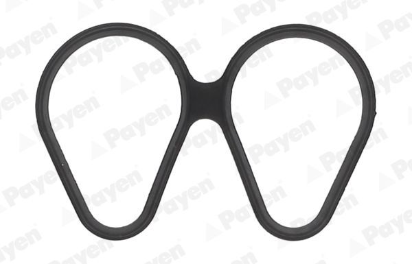 Tarpiklis, įsiurbimo kolektorius PAYEN JD6161