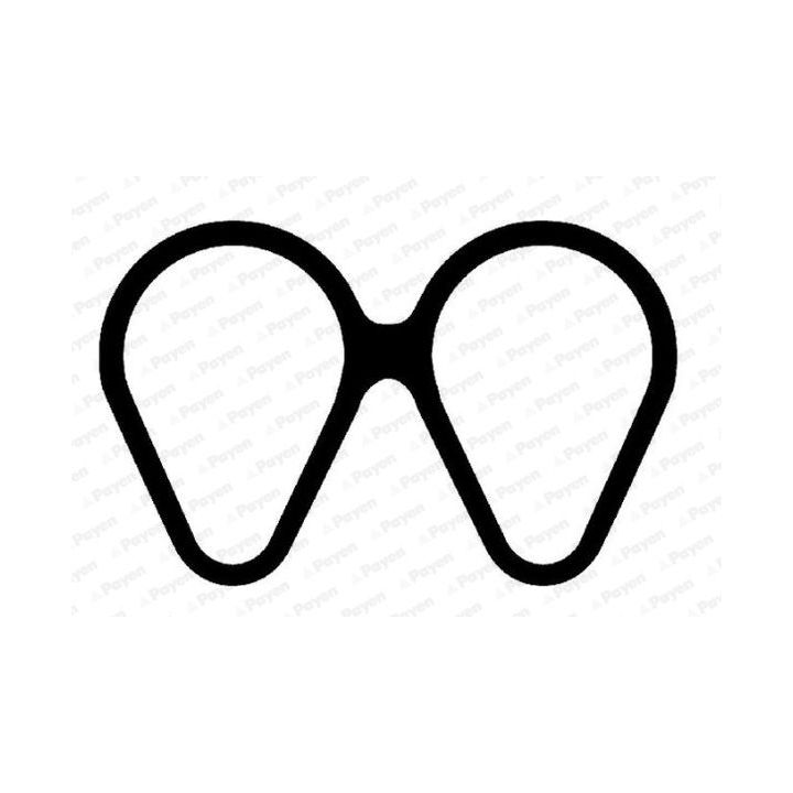 Tarpiklis, įsiurbimo kolektorius PAYEN JD6161