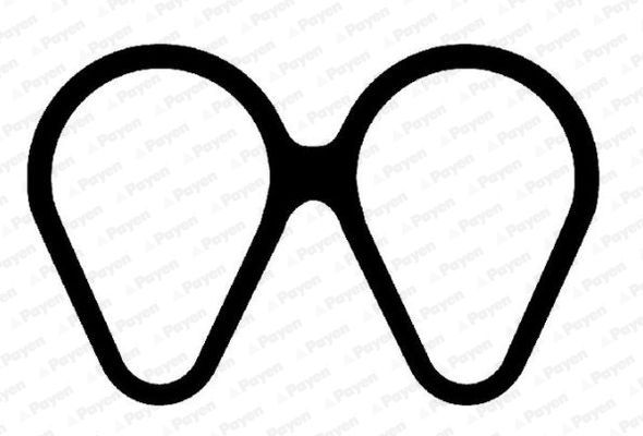 Tarpiklis, įsiurbimo kolektorius PAYEN JD6161