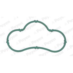 Tarpiklis, įsiurbimo kolektorius PAYEN JD6164