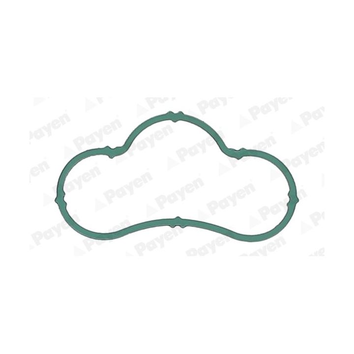 Tarpiklis, įsiurbimo kolektorius PAYEN JD6164