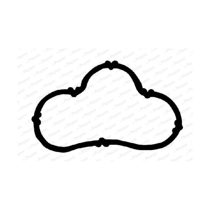 Tarpiklis, įsiurbimo kolektorius PAYEN JD6164