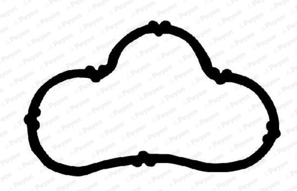 Tarpiklis, įsiurbimo kolektorius PAYEN JD6164