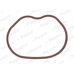 Tarpiklis, įsiurbimo kolektorius PAYEN JD6166