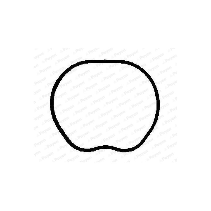 Tarpiklis, įsiurbimo kolektorius PAYEN JD6166