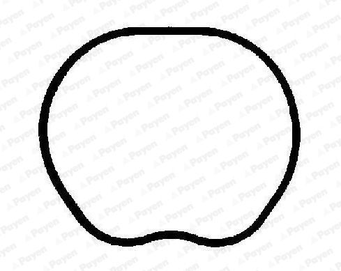 Tarpiklis, įsiurbimo kolektorius PAYEN JD6166