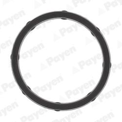 Tarpiklis, įsiurbimo kolektorius PAYEN JD6172