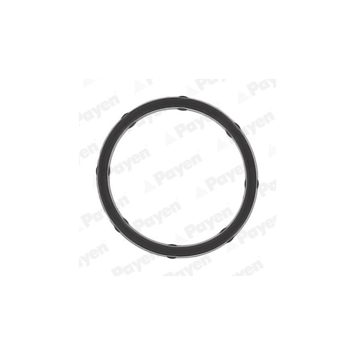 Tarpiklis, įsiurbimo kolektorius PAYEN JD6172