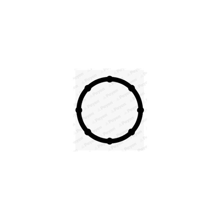 Tarpiklis, įsiurbimo kolektorius PAYEN JD6172