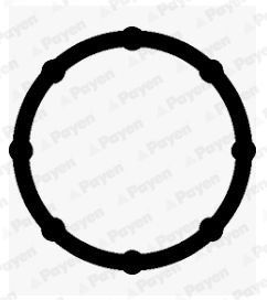 Tarpiklis, įsiurbimo kolektorius PAYEN JD6172