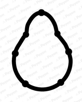 Tarpiklis, įsiurbimo kolektorius PAYEN JD6173