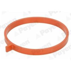 Tarpiklis, įsiurbimo kolektorius PAYEN JD6186