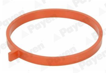 Tarpiklis, įsiurbimo kolektorius PAYEN JD6186