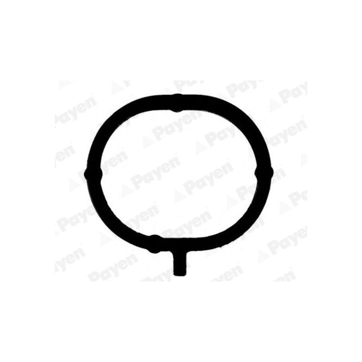 Tarpiklis, įsiurbimo kolektorius PAYEN JD6191