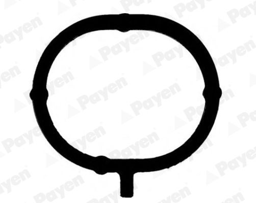 Tarpiklis, įsiurbimo kolektorius PAYEN JD6191