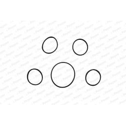 Tarpiklių rinkinys, įsiurbimo kolektorius PAYEN HA5005