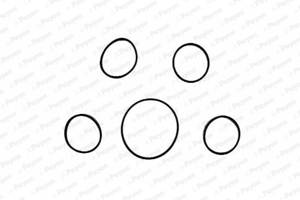 Tarpiklių rinkinys, įsiurbimo kolektorius PAYEN HA5005