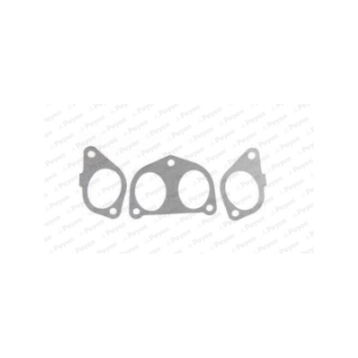 Tarpiklių rinkinys, įsiurbimo kolektorius PAYEN HA5008