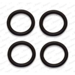 Tarpiklių rinkinys, įsiurbimo kolektorius PAYEN HA5029