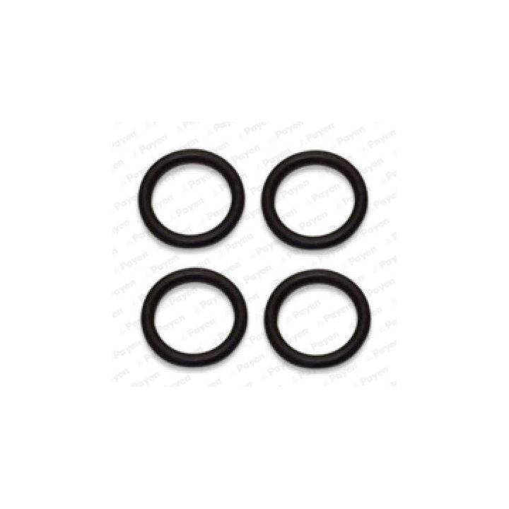 Tarpiklių rinkinys, įsiurbimo kolektorius PAYEN HA5029