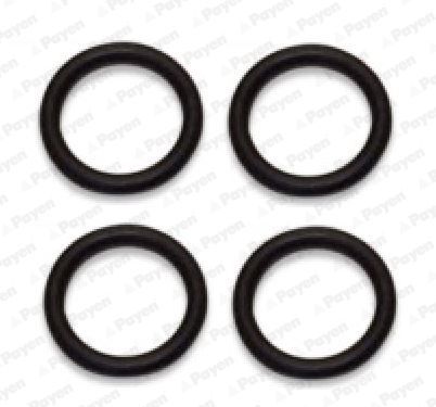 Tarpiklių rinkinys, įsiurbimo kolektorius PAYEN HA5029