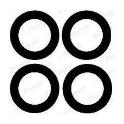 Tarpiklių rinkinys, įsiurbimo kolektorius PAYEN HA5030