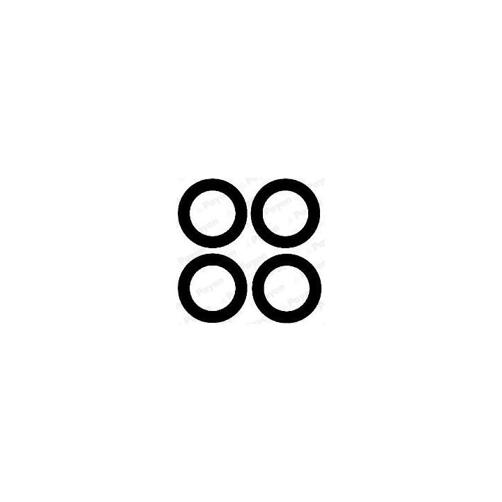 Tarpiklių rinkinys, įsiurbimo kolektorius PAYEN HA5030