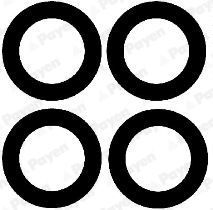 Tarpiklių rinkinys, įsiurbimo kolektorius PAYEN HA5030