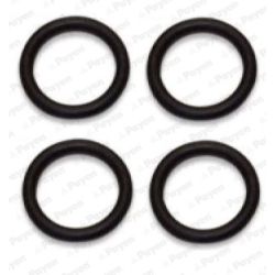 Tarpiklių rinkinys, įsiurbimo kolektorius PAYEN HA5031