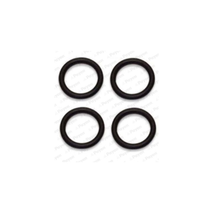 Tarpiklių rinkinys, įsiurbimo kolektorius PAYEN HA5031