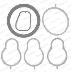 Tarpiklių rinkinys, įsiurbimo kolektorius PAYEN HA5034