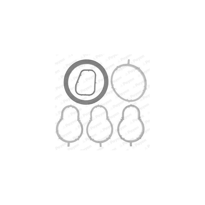 Tarpiklių rinkinys, įsiurbimo kolektorius PAYEN HA5034