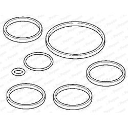 Tarpiklių rinkinys, įsiurbimo kolektorius PAYEN HA5053