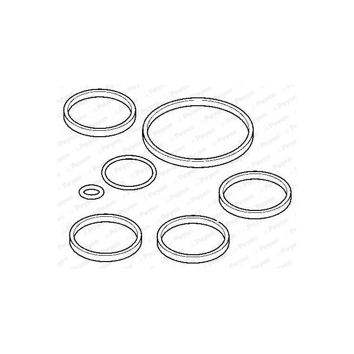 Tarpiklių rinkinys, įsiurbimo kolektorius PAYEN HA5053