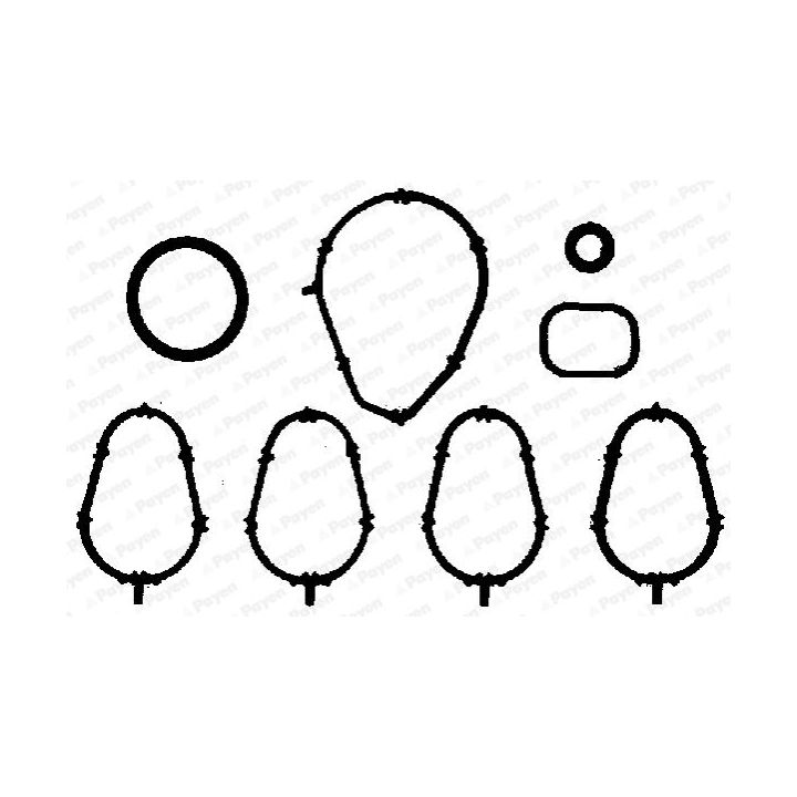 Tarpiklių rinkinys, įsiurbimo kolektorius PAYEN JA5010