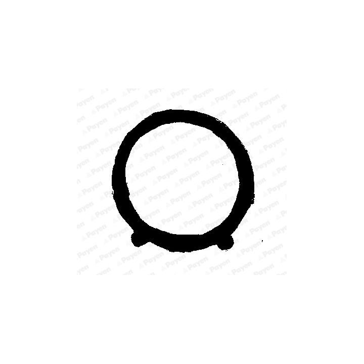 Tarpiklis, įsiurbimo kolektoriaus korpusas PAYEN JA5011