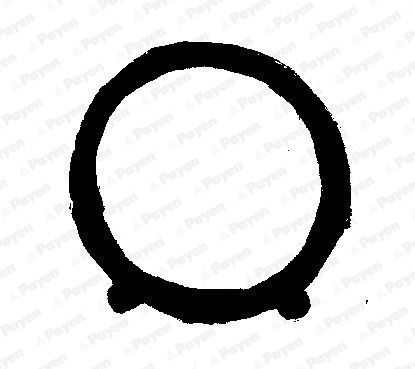 Tarpiklis, įsiurbimo kolektoriaus korpusas PAYEN JA5011