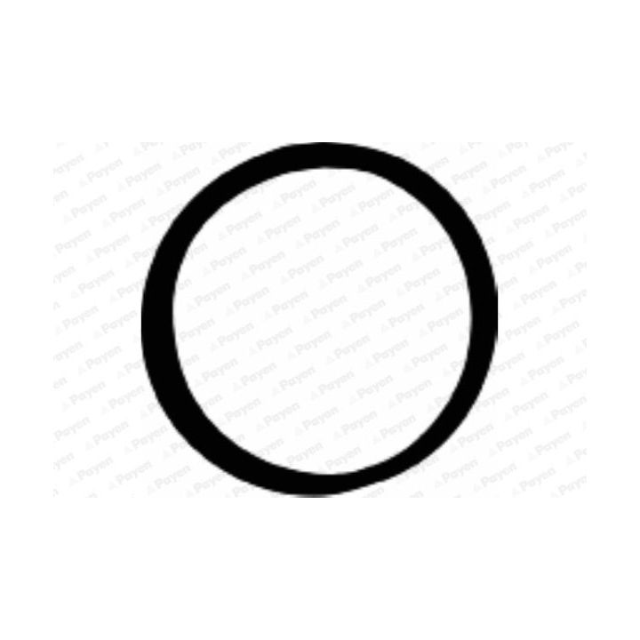 Tarpiklis, įsiurbimo kolektoriaus korpusas PAYEN JD5107