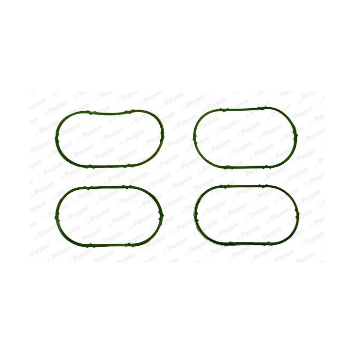 Tarpiklis, įsiurbimo kolektoriaus korpusas PAYEN JD5893