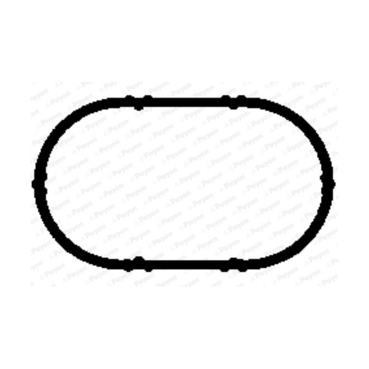 Tarpiklis, įsiurbimo kolektoriaus korpusas PAYEN JD5893