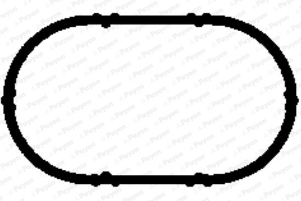 Tarpiklis, įsiurbimo kolektoriaus korpusas PAYEN JD5893